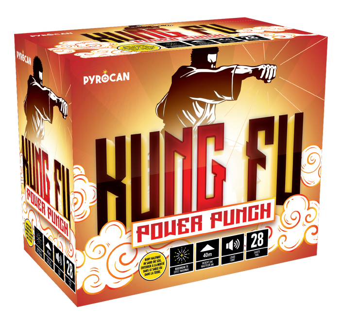 Kung Fu Power Punch