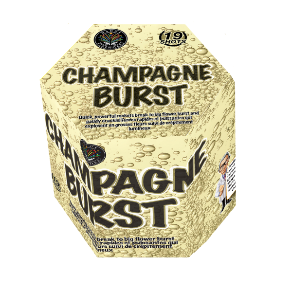 Champagne Burst | Rocket Fireworks Cake