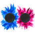 Gender Reveal | Hockey Pucks 