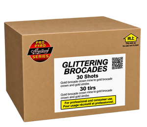 Glittering Brocades