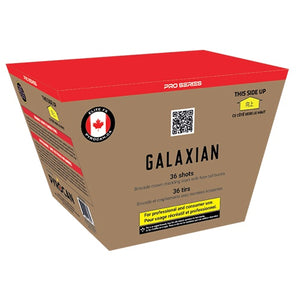 Galaxian-Cake at Rocket Fireworks Canada