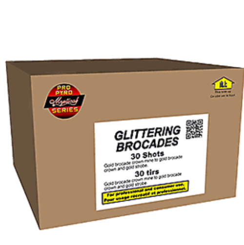 Glittering Brocades