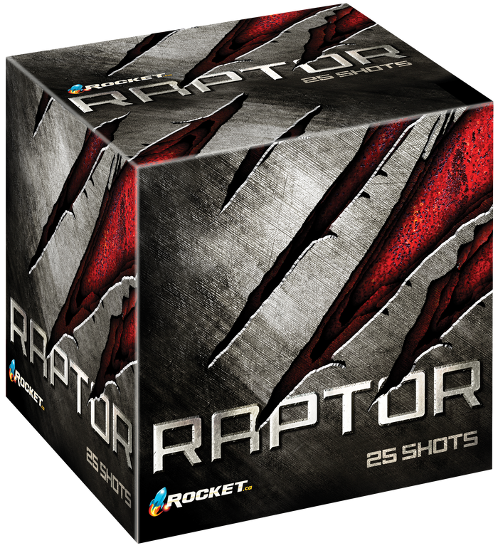 Raptor | Rocket Fireworks Cake