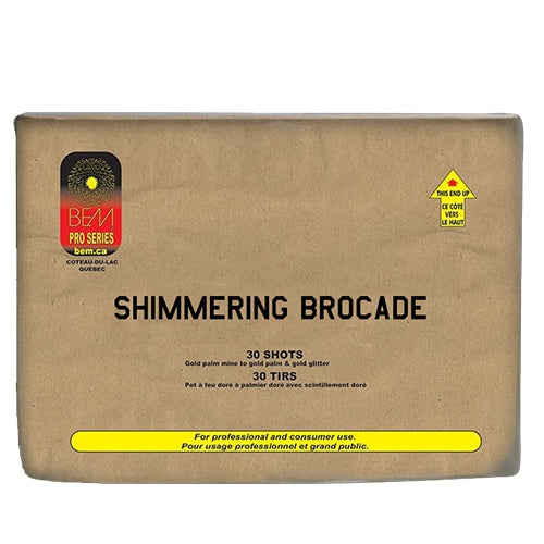 Shimmering Brocade